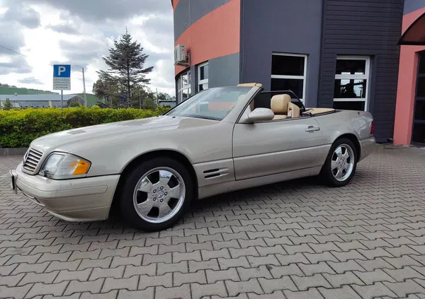 mercedes benz sl złoty stok Mercedes-Benz SL cena 59900 przebieg: 265000, rok produkcji 1999 z Złoty Stok